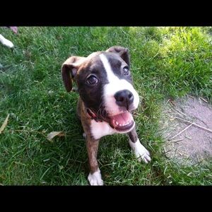 Meet your Posher, Sue